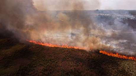 Multan a dos mataderos brasileños por daños ambientales en la Amazonía-idesotv-noticias-ica Humo de incendios forestales en la Amazonía afecta a varios países de Suramérica