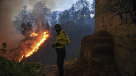 Incendio forestal en Quito obliga a Noboa a cancelar su agenda en la ONU (FOTOS, VIDEOS)