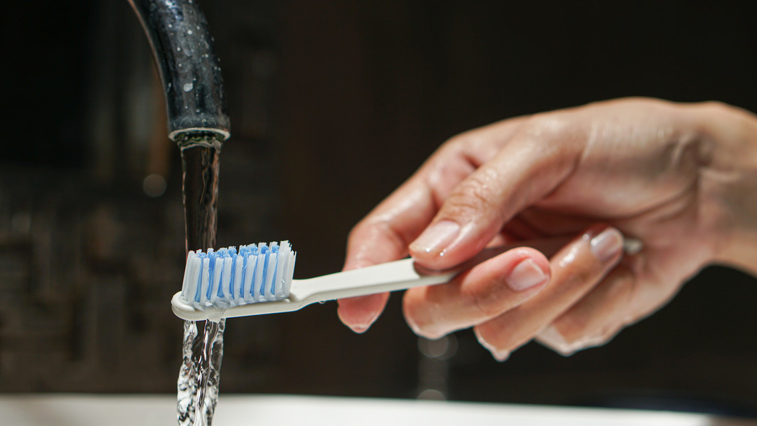 Hallan algo "nunca antes visto" en cepillos de dientes y cabezales de ducha