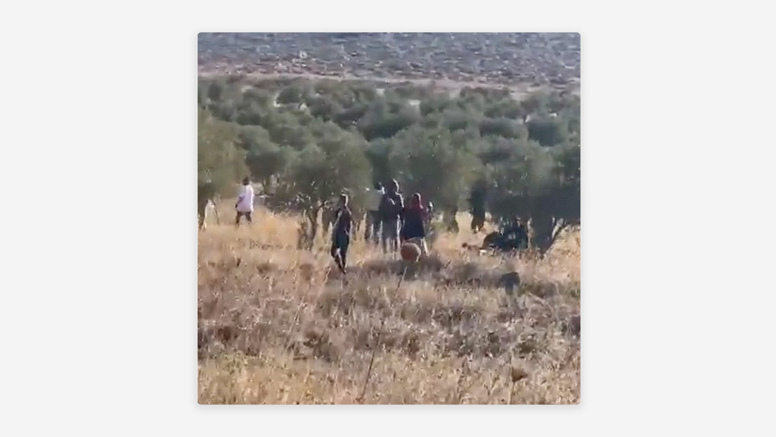 VIDEOS: Colonos israelíes atacan a agricultores palestinos que recogían aceitunas en Cisjordania