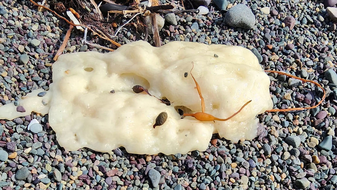 Inexplicable "sustancia misteriosa" en las playas de Canadá