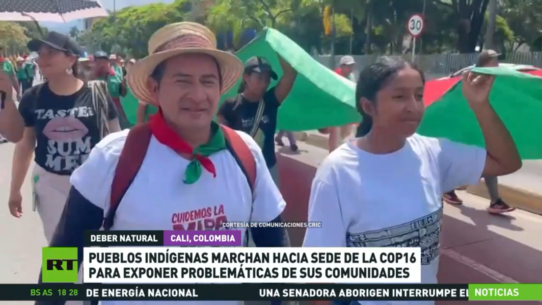 Pueblos indígenas marchan hacia la sede de la COP16 en Colombia para exponer problemáticas de sus comunidades