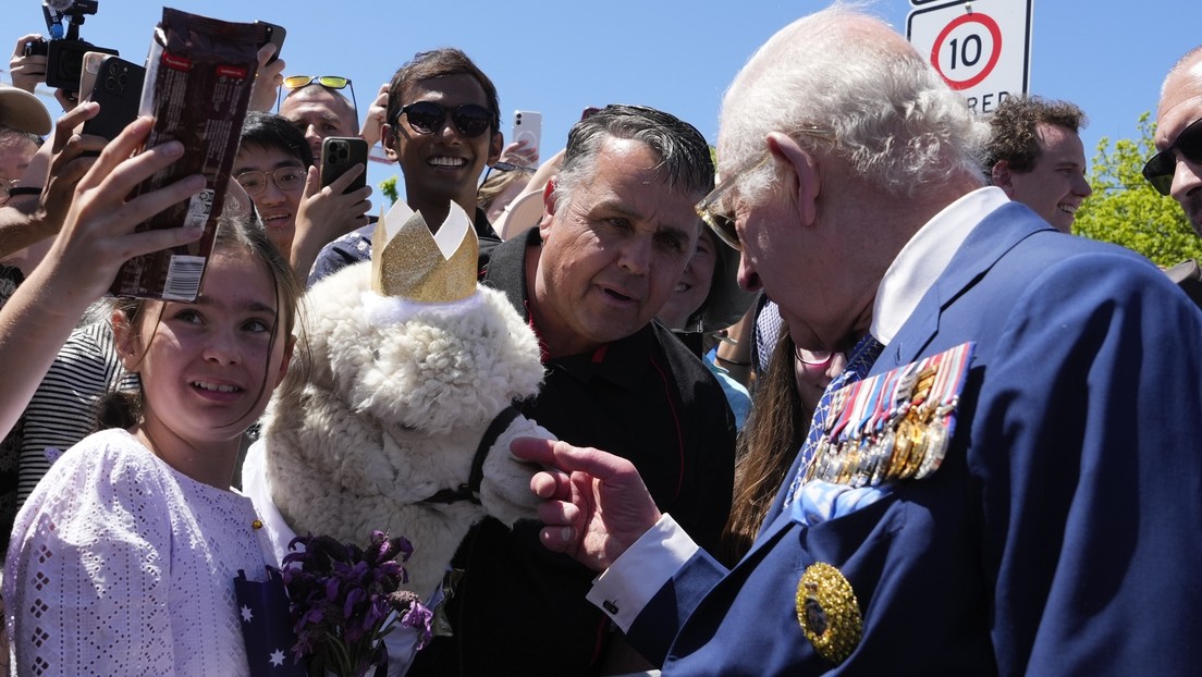 Una alpaca estornuda sobre el rey Carlos III en Australia (VIDEO)