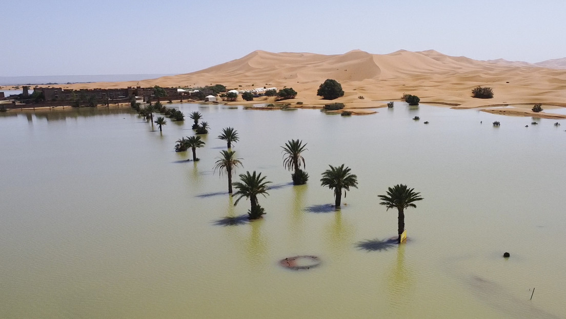 FOTOS: Las intensas lluvias devuelven la vida al desierto del Sáhara