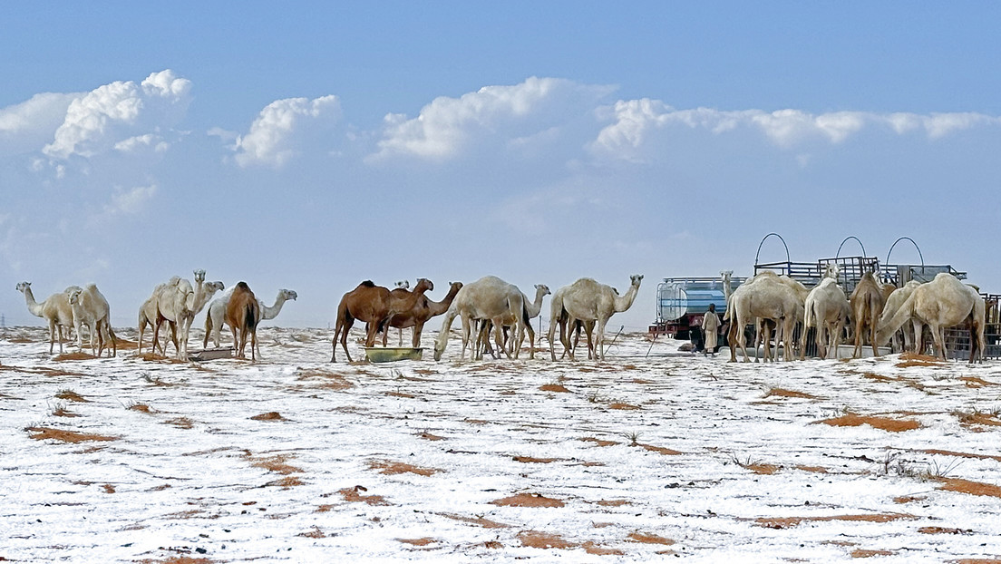 Desierto de Arabia Saudita registra la primera nevada de su historia (FOTOS)