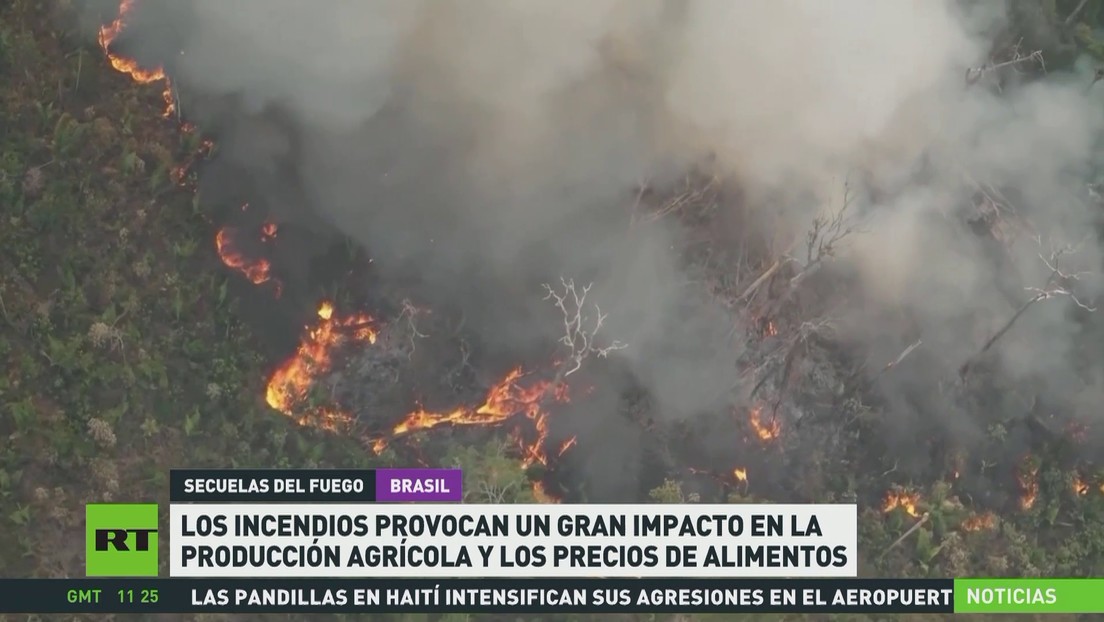 Los incendios en Brasil provocan un gran impacto en la producción agrícola y los precios de alimentos