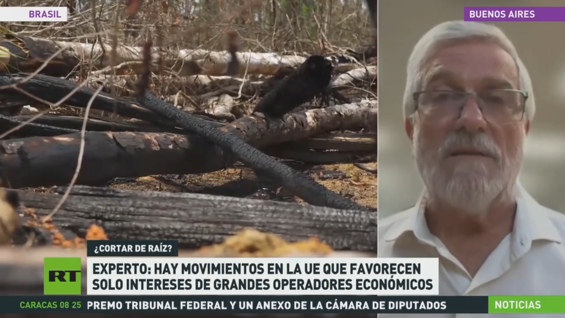 La UE vota para aplazar ley contra deforestación pese a denuncias de ambientalistas y políticos