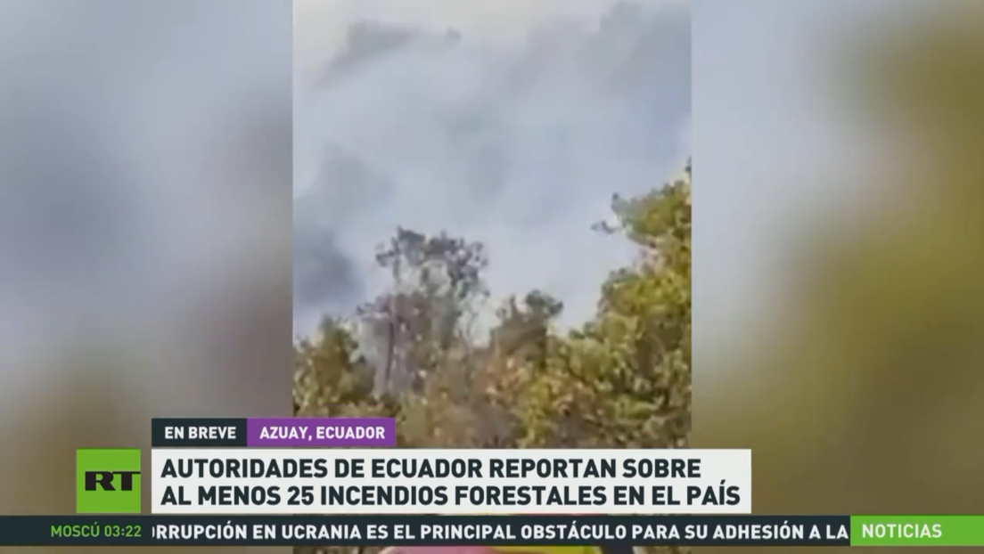 Autoridades reportan al menos 25 incendios forestales en las provincias ecuatorianas de Azuay y Loja