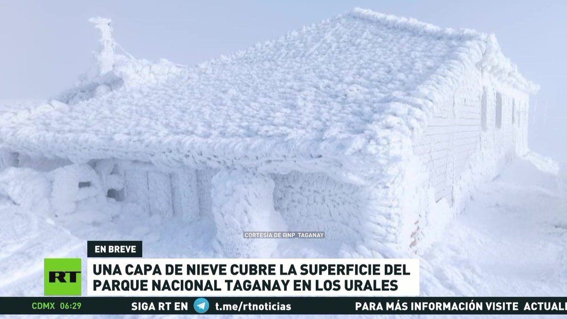 Densa capa de nieve cubre de blanco un parque nacional en los Urales