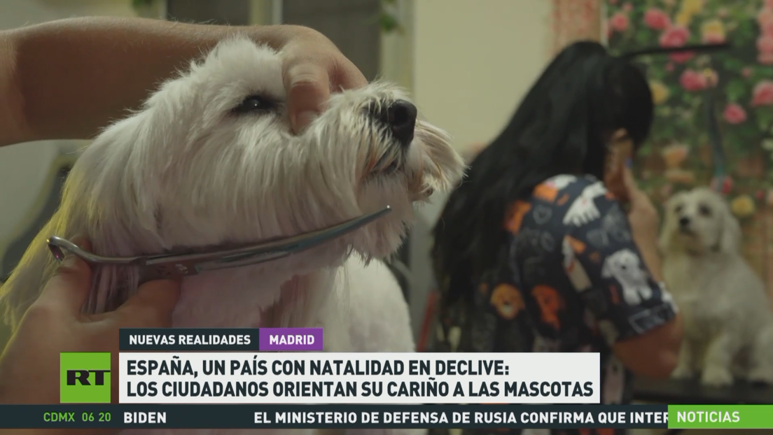 España, un país con natalidad en declive: Los ciudadanos orientan su cariño a las mascotas