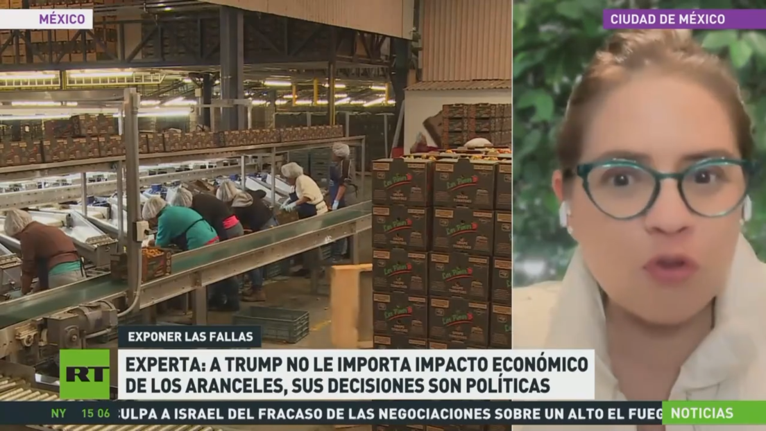 Experta: A Trump no le importa el impacto económico de los aranceles, ya que sus decisiones son políticas