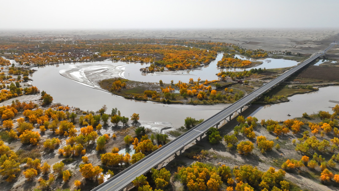 China rodea su mayor desierto con cinturón verde de más de 3.000 kilómetros