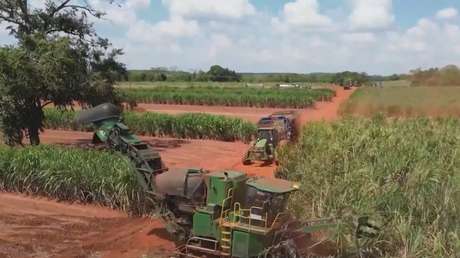 La francesa Carrefour busca aliviar tensiones con sector agrícola y ganadero de Brasil-idesotv-noticias-ica Empresas extranjeras explotan tierras agrícolas en Brasil infringiendo la ley