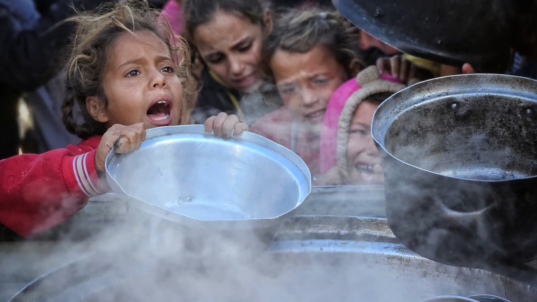 VIDEO: Una niña de Gaza lucha por conseguir una ración de comida