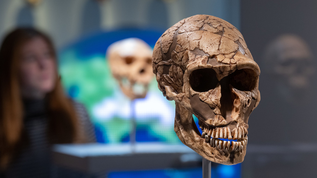 ¿Tienes el gen neandertal? La respuesta puede estar en tus dientes