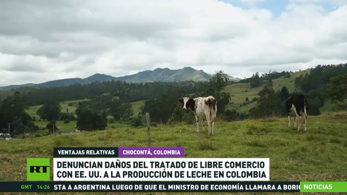 Denuncian daños del tratado de libre comercio con EE.UU. a la producción de leche en Colombia