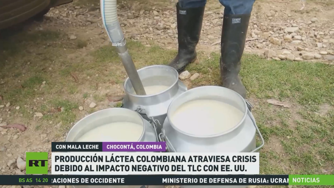 Producción láctea colombiana atraviesa crisis debido al impacto negativo del TLC con EE.UU.