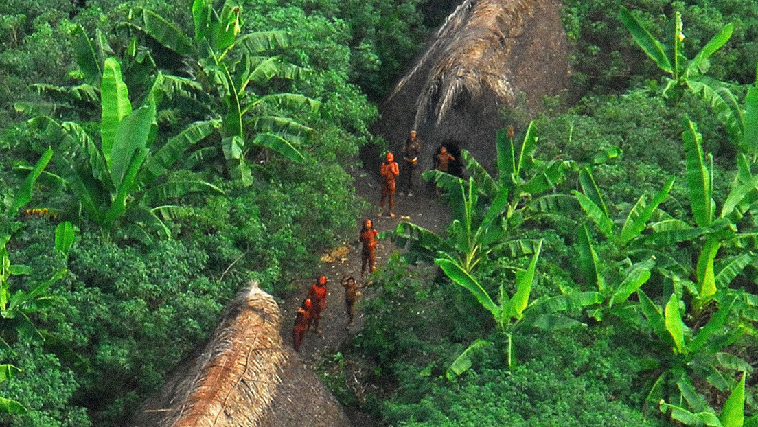 Lo que revela una expedición sobre un pueblo indígena no contactado