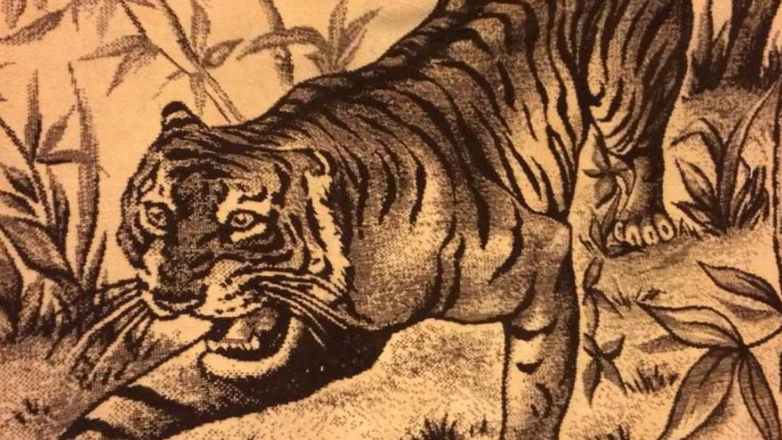 La poco conocida historia de cómo surgió la popular 'cobija de tigre'