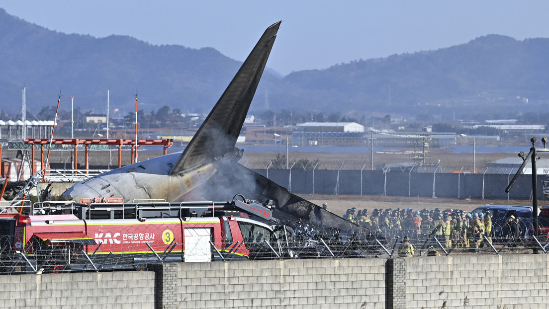 VIDEO: El supuesto impacto con un pájaro que habría causado el siniestro del avión de pasajeros en Corea del Sur