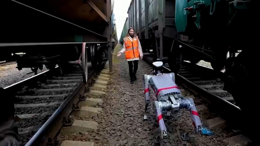 VIDEO: Perros robot, al servicio de los ferrocarriles rusos