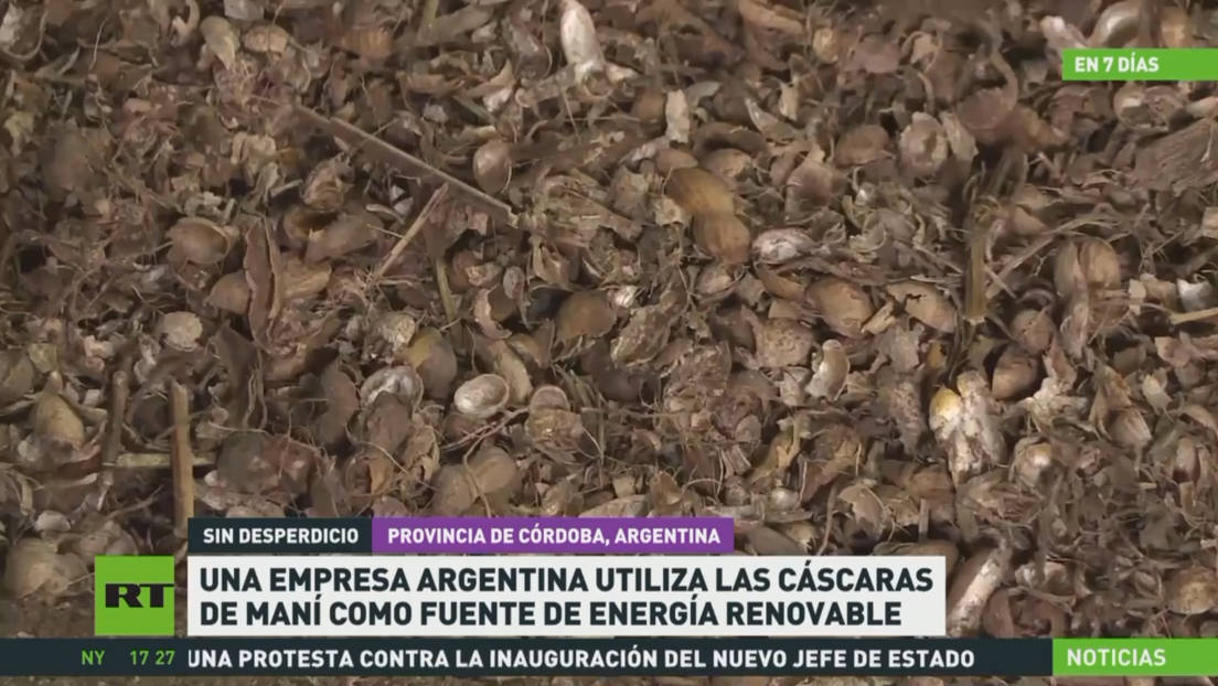 Una empresa argentina utiliza las cáscaras de maní como fuente de energía renovable