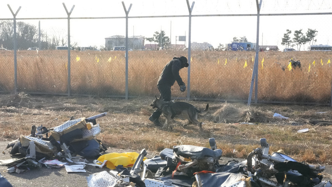 Expertos apuntan a una "combinación fatal de factores" en el siniestro aéreo en Corea del Sur