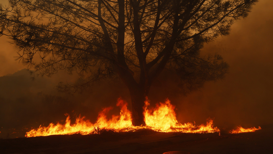 Actor estadounidense graba un fuerte incendio forestal en California (VIDEOS)