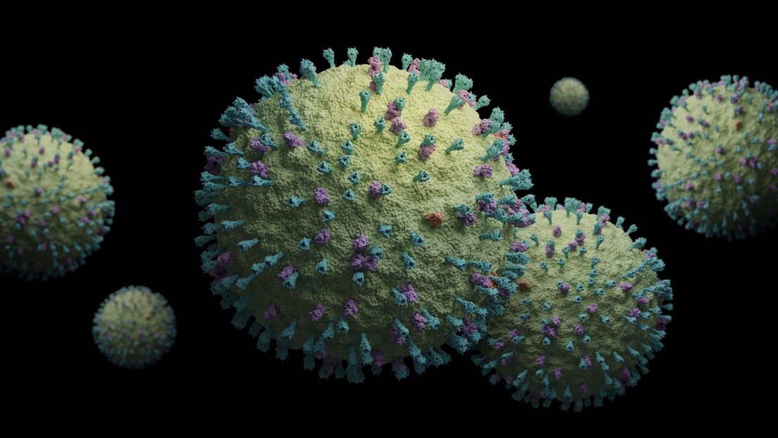 La OMS evalúa el riesgo de un posible brote de metapneumovirus