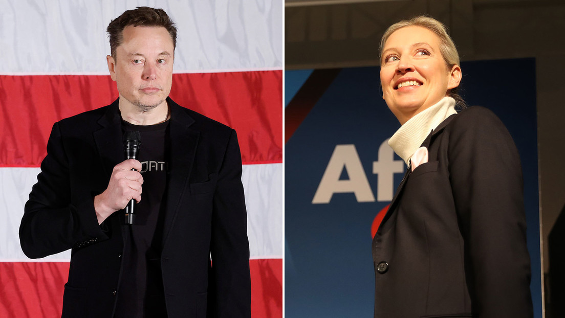 El declive de Alemania, censura y "Hitler comunista": ¿de qué habló Musk con Alice Weidel?