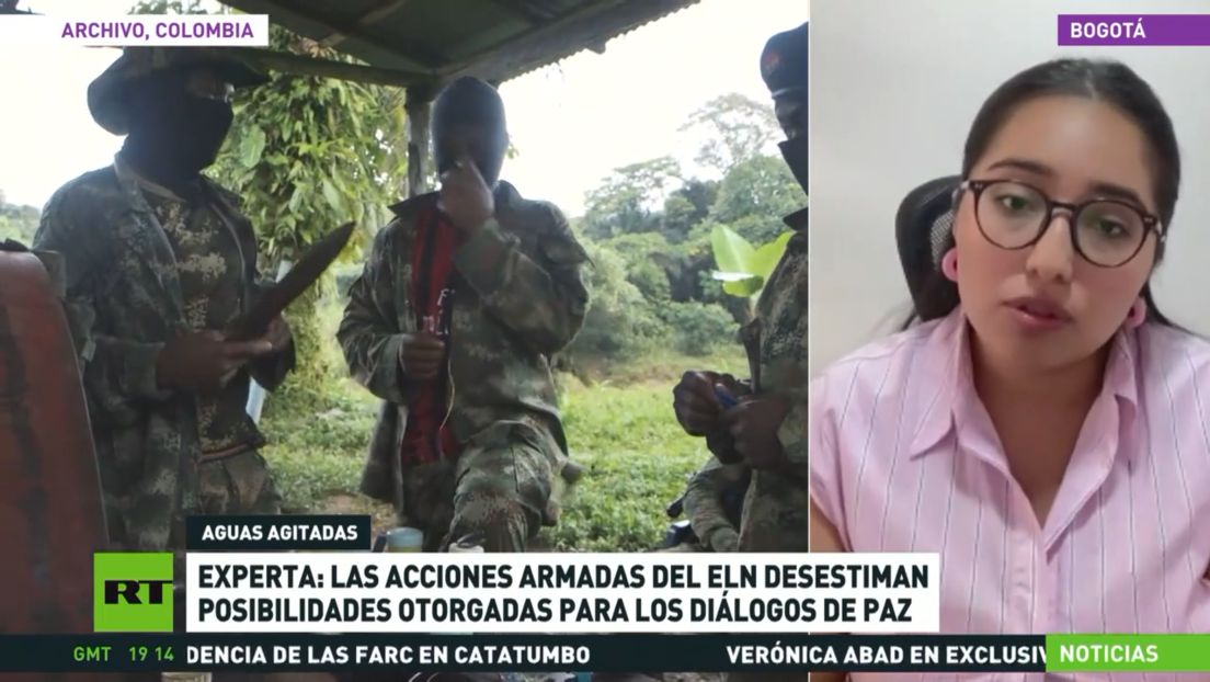 Experta: Las acciones armadas del ELN desestiman posibilidades otorgadas para los diálogos de paz