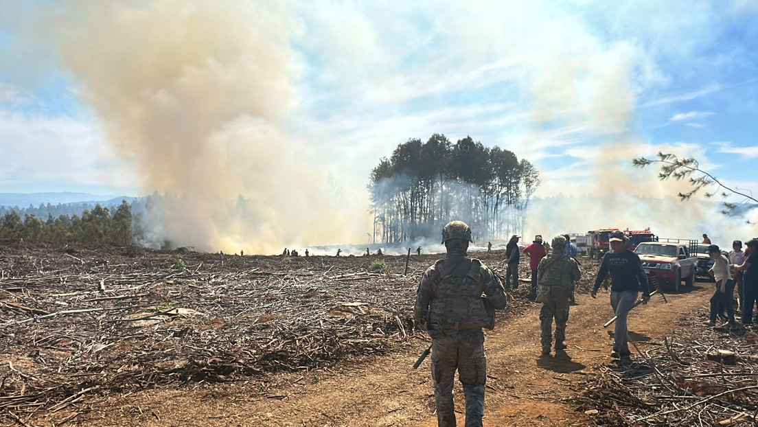 "Extremado peligro": Incendios forestales arrasan Chile (VIDEOS)