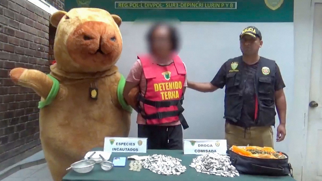 El 'capibara del amor' detiene a un narco con un alijo de drogas en Perú (VIDEO)