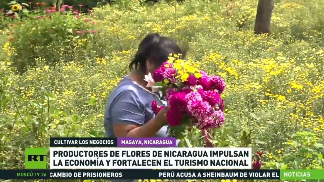 Productores de flores de Nicaragua impulsan la economía y fortalecen el turismo nacional