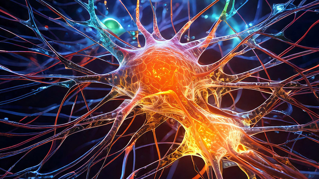 Desarrollan el primer fármaco que proporciona una recuperación total tras un ataque cerebral