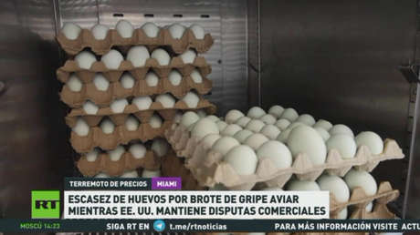 Escasez de huevos por brote de gripe aviar mientras EE.UU. mantiene disputas comerciales