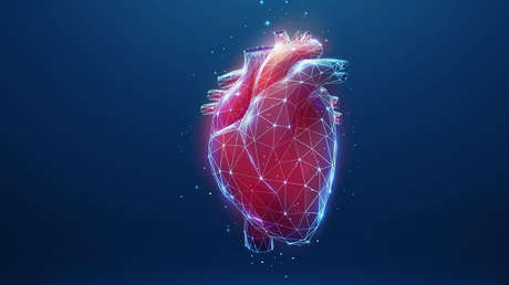 Imagen ilustrativa