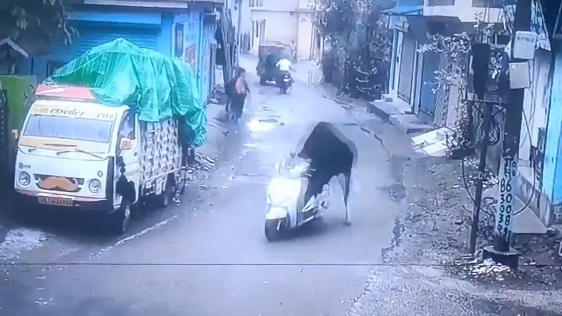 VIDEO: Un toro roba una 'scooter' y escapa a la carrera en un 'atraco' insólito