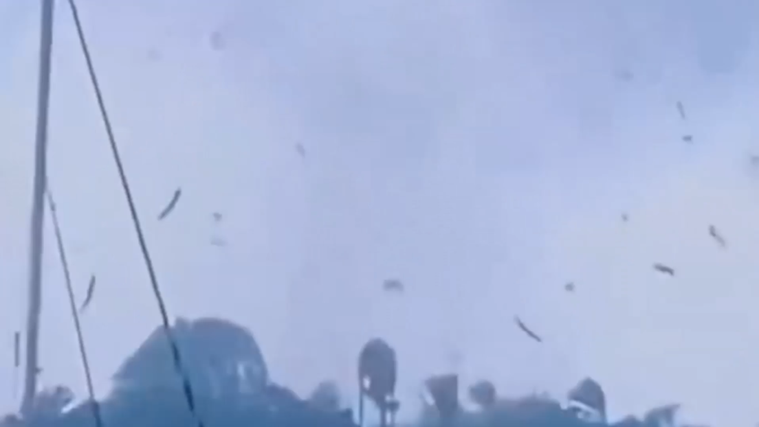 VIDEO: Un tornado hace 'llover' peces en Guadalupe
