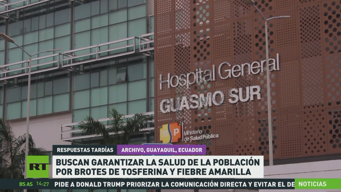 Ecuador busca garantizar la salud de la población ante brotes de tos ferina y fiebre amarilla