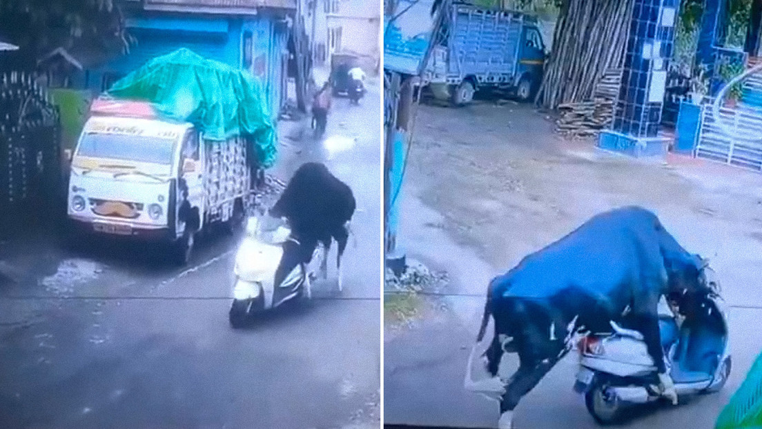 VIDEO: Un toro 'roba' una moto en la India
