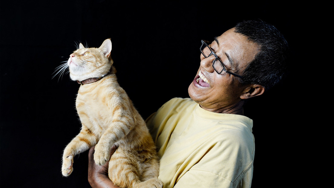 ¿Qué dice mi gato?: gigante chino 'traducirá' las voces de animales con ayuda de IA