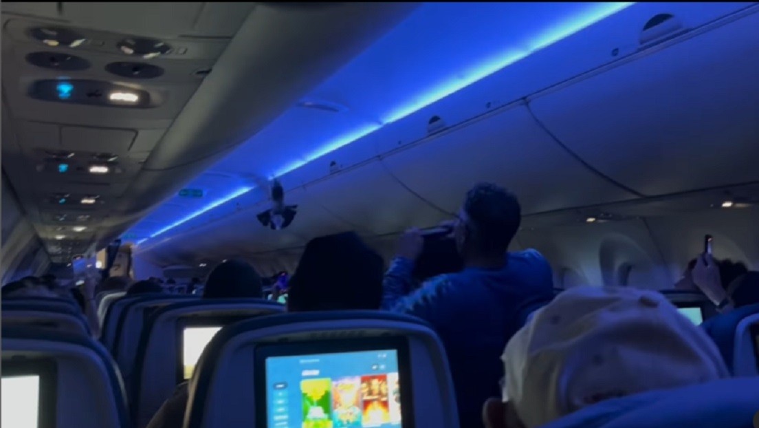 Dos inusuales pasajeros 'abordan' un vuelo y provocan caos y retrasos en EE.UU. (VIDEO)