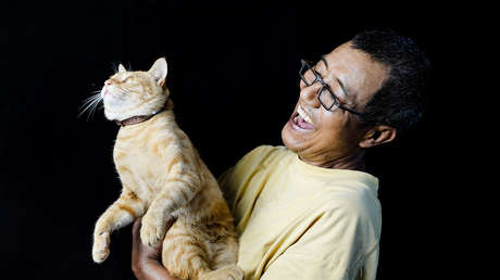 ¿Qué dice mi gato?: gigante chino 'traducirá' las voces de animales con ayuda de IA