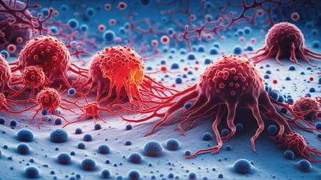 Imagen ilustrativa