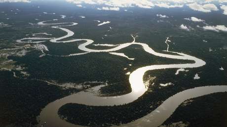 ¿Qué pasará si se seca la selva amazónica?