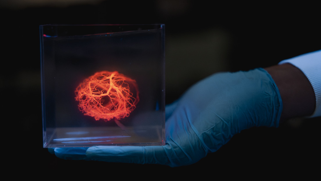Corazones impresos en 3D, más cerca de ser realidad