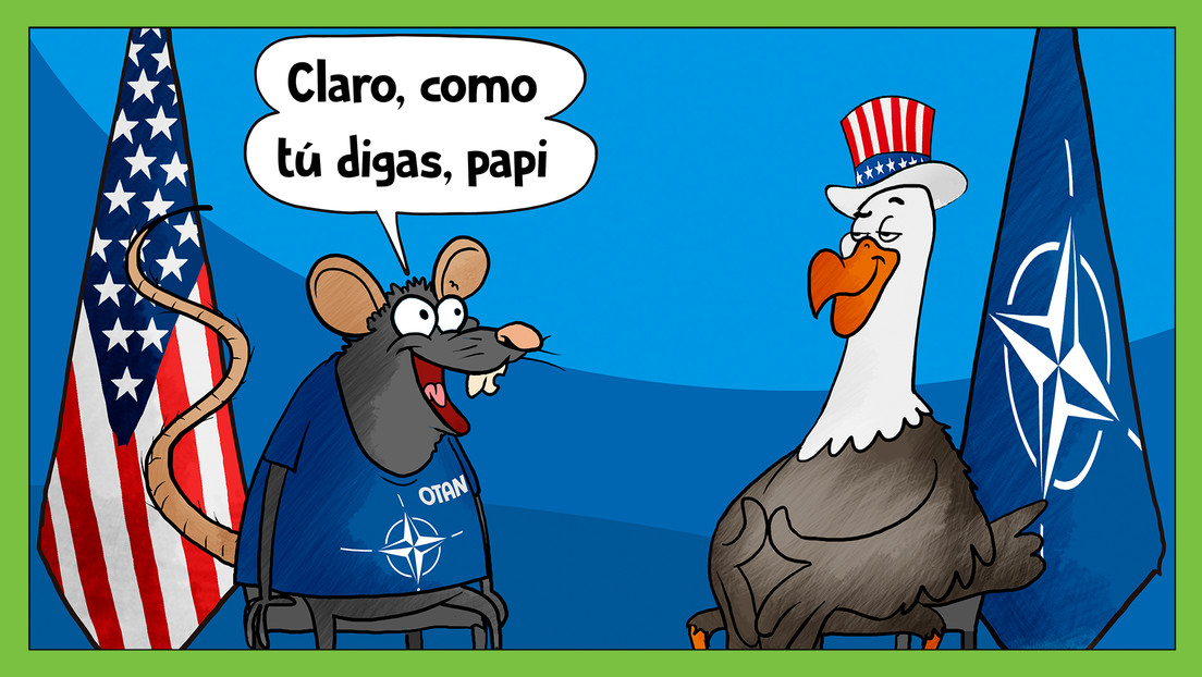 Trump, el “papi” de la OTAN (según Mark Rutte)
