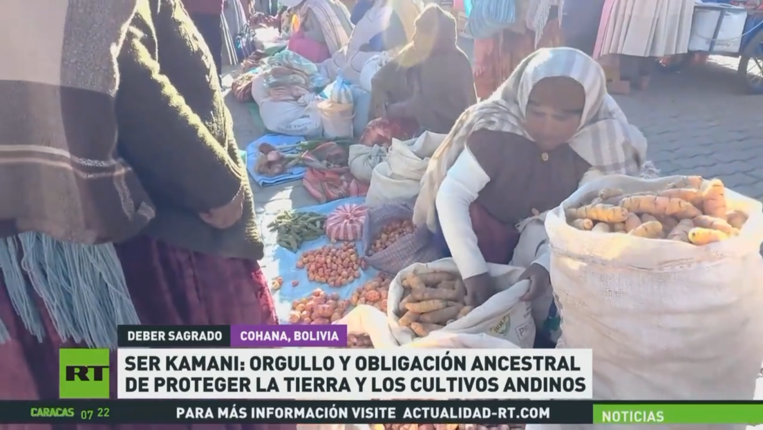 Ser kamani: orgullo y obligación ancestral de proteger la tierra y los cultivos andinos