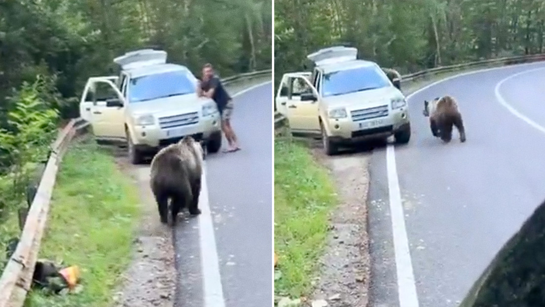 VIDEO: La insólita reacción de un hombre al inesperado 'saludo' de un oso